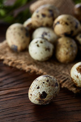 Obraz premium Quail eggs arranged in pyramid on a napkin with boxwood branches over a wooden table, close-up, selective focus.