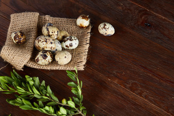 Quail eggs arranged in pyramid on a napkin with boxwood branches over a wooden table, close-up, selective focus.