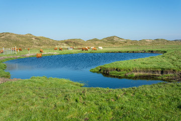 Langeoog