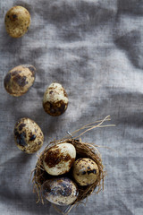 Obraz premium Quail eggs in a wooden bowl and some eggs on a homespun tablecloth, top view, close-up