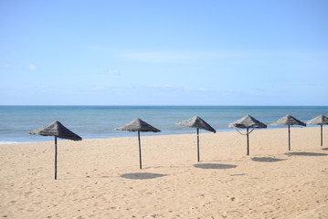 Exotic beach umbrellas and chairs on tropical coast
