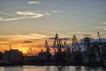 Cargo seaport, ships, a lot of cargo cranes