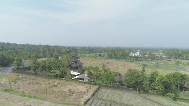 Flying backward aerial footage of green rice field,  Yogyakarta, Indonesia - April 2018