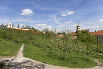 View on the spring Prague City with the green Nature and flowering Trees, Czech Republic