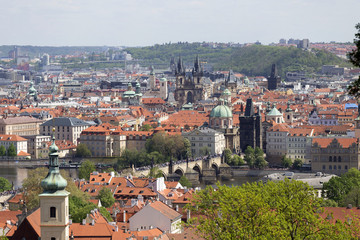 Fototapeta premium View on the spring Prague City with the green Nature and flowering Trees, Czech Republic
