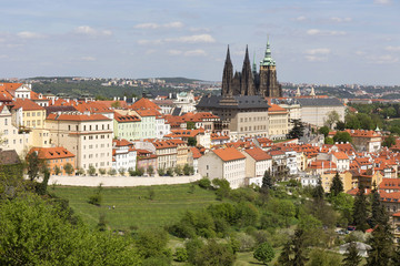 View on the spring Prague City with the green Nature and flowering Trees, Czech Republic