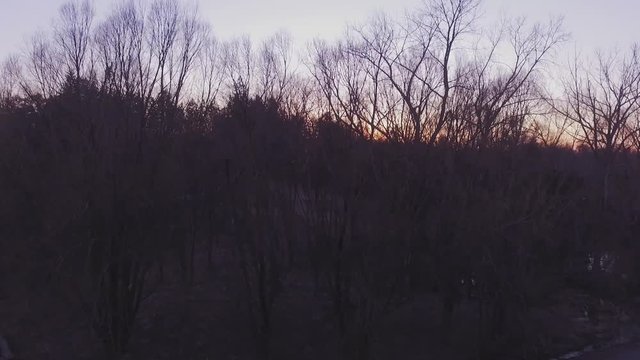 Ascending aerial shot of a forest at sunset.
