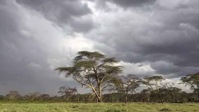 Kenya Rainclouds Timelapse