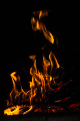 Beautiful tongues of Flame