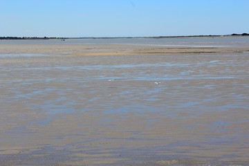 Plage à marée Basse près de La Rochelle