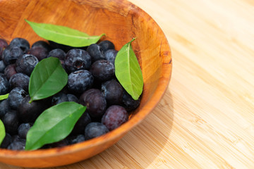 Blueberries in the bowl