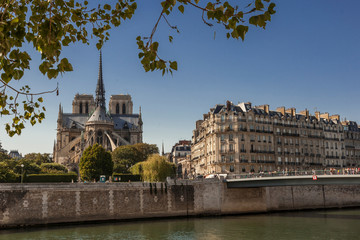 Fototapeta na wymiar Notre Dame in Paris an der Seine