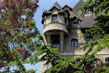 Beautiful castle between blooming branches and blue sky