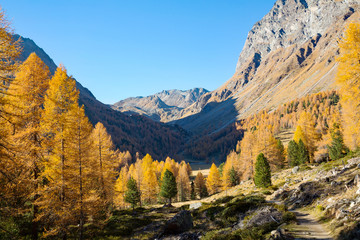 Fototapeta na wymiar Vallata Alpina in autunno