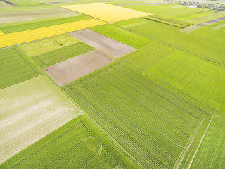 Wiosenny, rolniczy krajobraz pól uprawnych widziany z lotu ptaka. Abstrakcyjne tło z kolorowymi polami. - obrazy, fototapety, plakaty