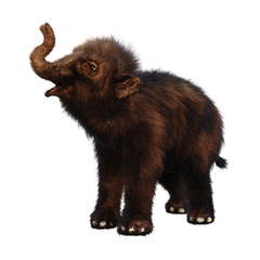 Obraz premium 3D Rendering Woolly Mammoth Baby on White