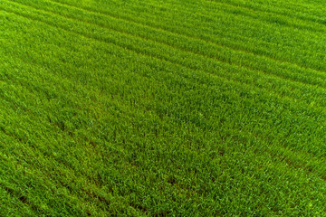 Aerial view over the agricultural fields