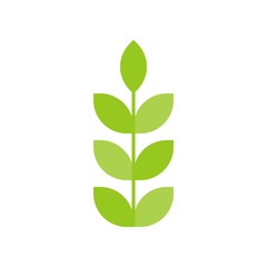 Branch with leaves flat design icon