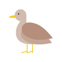 Cute Brown duck or pigeon flat icon design for farming concept