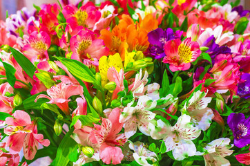 Multicolored flowers in a bouquet. Beautiful nature background