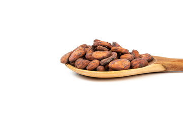 Cocoa beans in wooden spoon on white background.