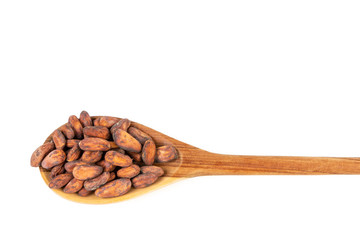 Cocoa beans in wooden spoon on white background.