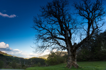 Regional nature park of the Azure PreAlps