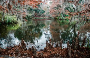 Red bridge on the lake. Charleston SC