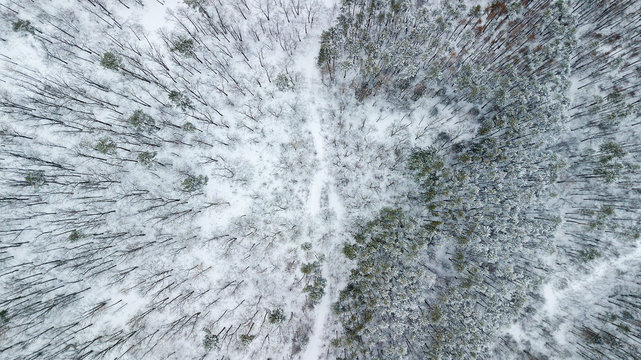 Aerial view on SUV 6x6 that rides by winter road in snow-covered forest