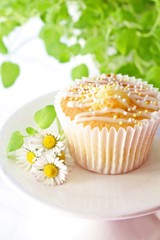 カップケーキ　アイシング　マーガレット