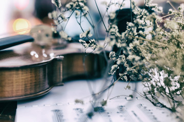 The abstract ar tdesign background of dried flower put in front of violin,blurry light around