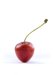 Single cherries berry against white