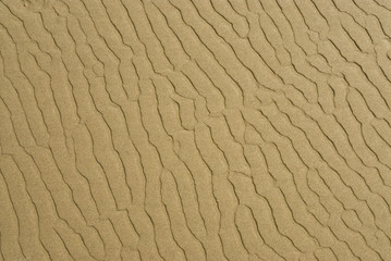 Wet sand on the beach patterned by sea tide