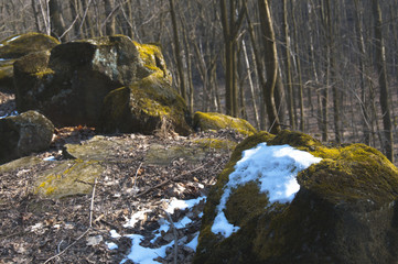 Stones covered by snow on the hill