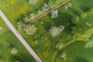 Luftaufnahme blühende Streuobstwiesen im Frühling