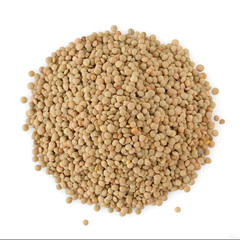 Brown Italian Lentils