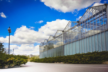 high glass greenhouses from a multitude of frames against the background of a blue sky with clouds, surrounded by a juniper perimeter, near a path covered with asphalt, in front of a lamppost