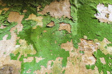 Old green wall with peeling paint as background