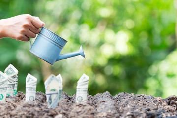 Hand holding waterring over dollar bill plant growth from ground.Concept of money tree growing from American dollars © frank29052515