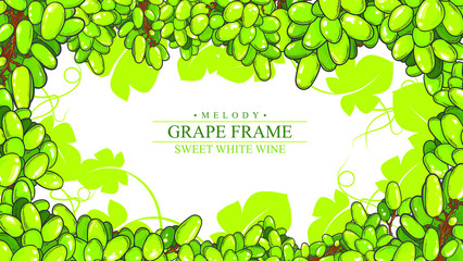 Beautiful hand drawn white grapes frame, vector illustration isolated on white background, can be used for some photos or emblem of wine
