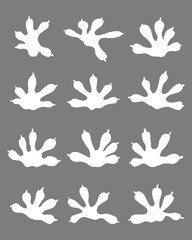 White  silhouettes of traces of lizards, vector