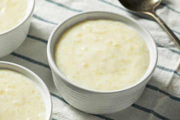 Sweet Homemade Tapioca Pudding