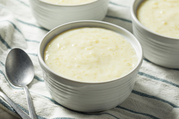 Sweet Homemade Tapioca Pudding