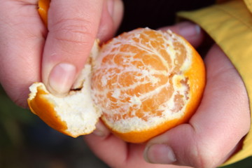 Peeling Orange