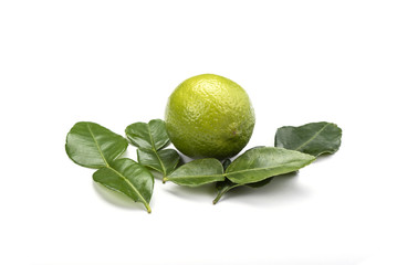 Citrus lime and leaves