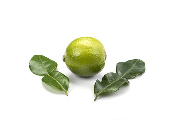 Leaves and lime fruit