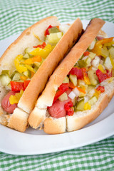 alldress delicious hotdog on a plate
