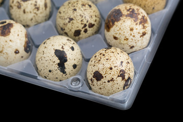 Obraz premium Quail eggs on egg box, top view, focus on front, black background