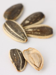 sunflower seeds
