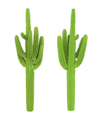 Cactus Plants Isolated